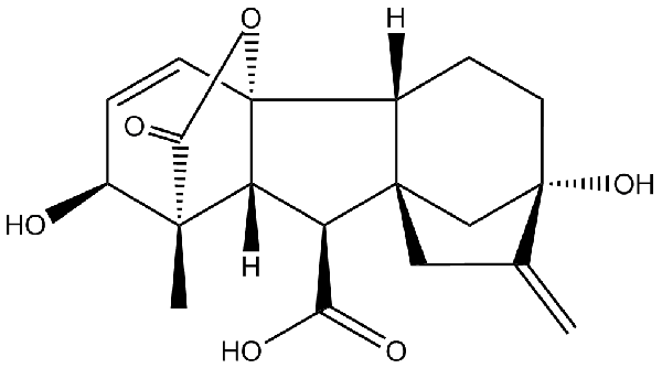 赤霉素GIBBERELLIC ACID，居然有這么神奇？